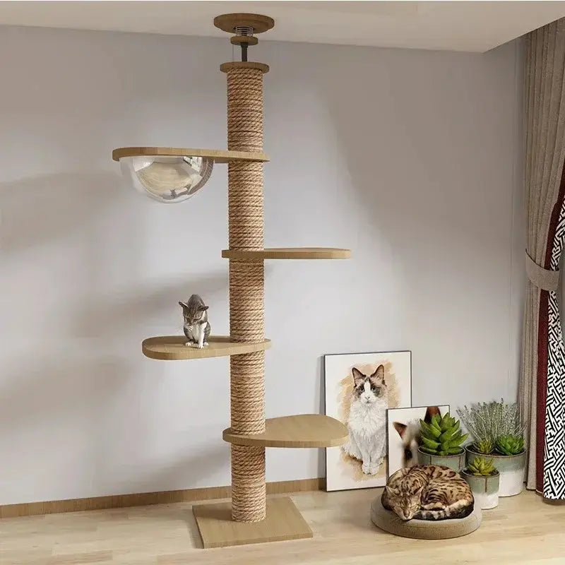 Arbre à chat XXL bois naturel – Stable & design - vue 5