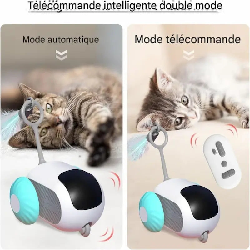 Voiture télécommandée chat - Chasse et rires garantis - vue 5