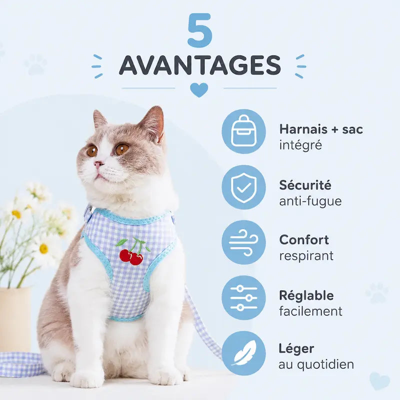Harnais sac à dos chat – Sécurité & confort - vue 4
