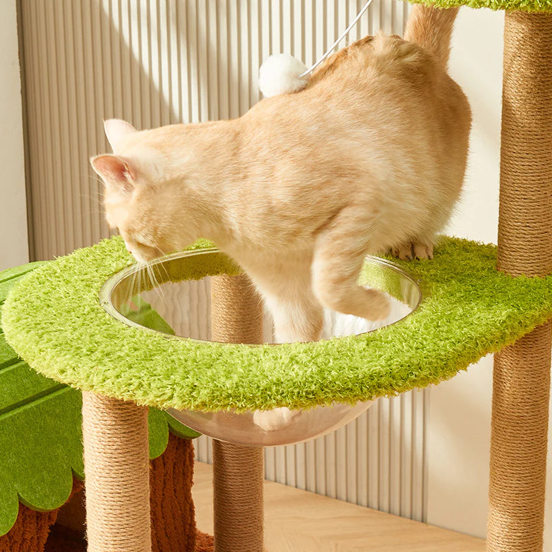 Arbre à chat Jungle Paradis - Multi-niveaux - vue 2