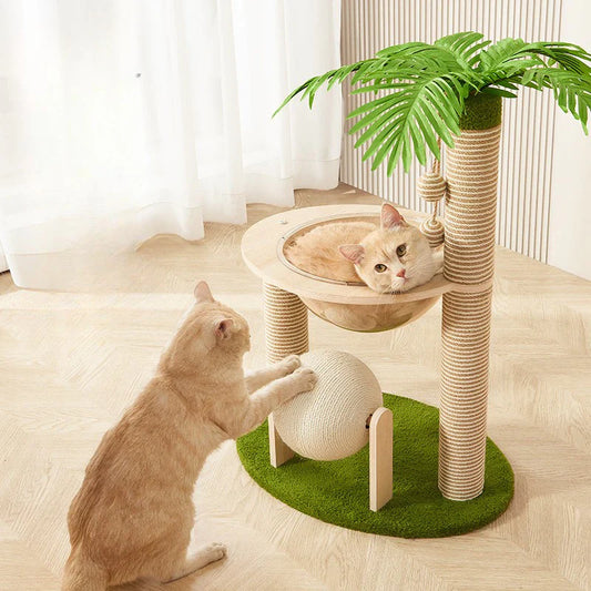 Griffoir chat cocotier
