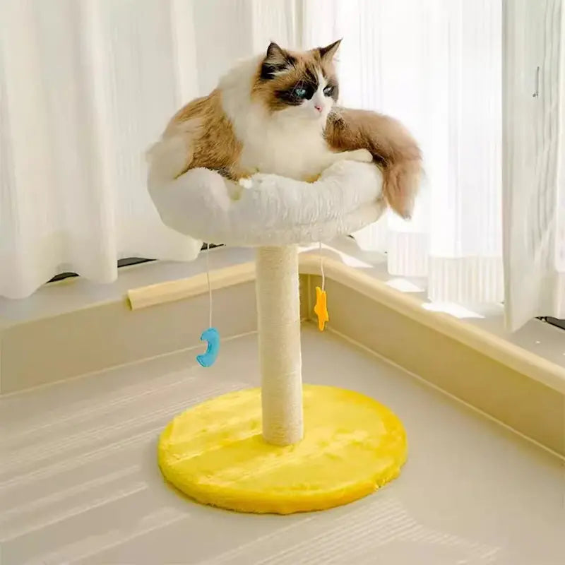 Griffoir chat nuage étoilé - Anti griffures - vue 2
