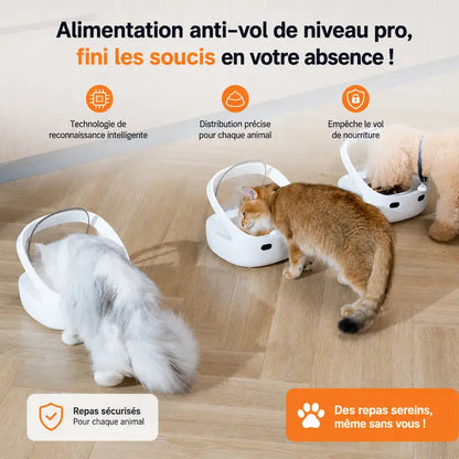 Distributeur croquettes sur mesure multi-animaux - vue 3