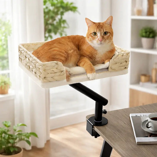 Lit de bureau pour chat