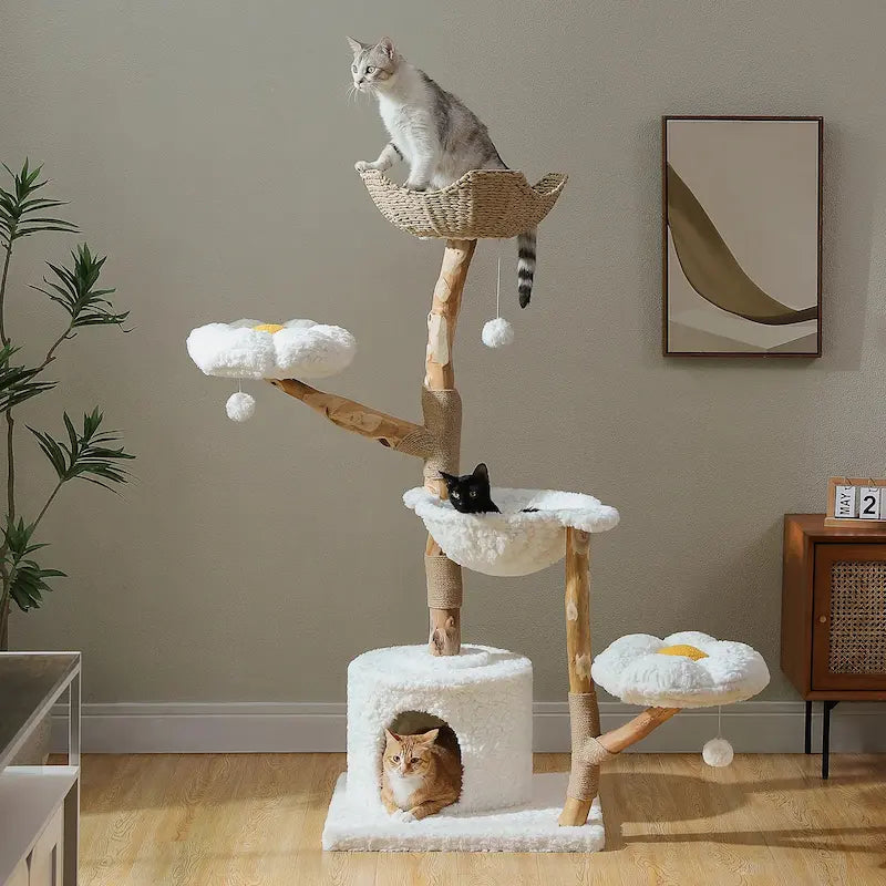 Grande tour arbre à chat