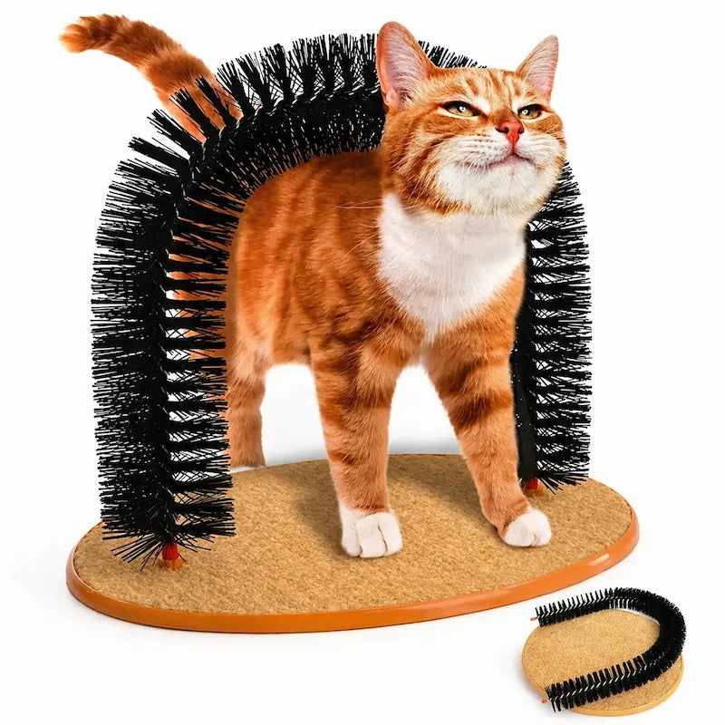 Jouet chat arc auto-grooming