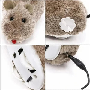 Souris chat interactive - Chasse automatique - vue 3