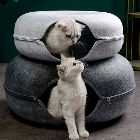 Tunnel donut chat