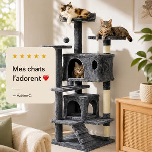 Arbre à chat avec échelle - Accès facile - vue 2