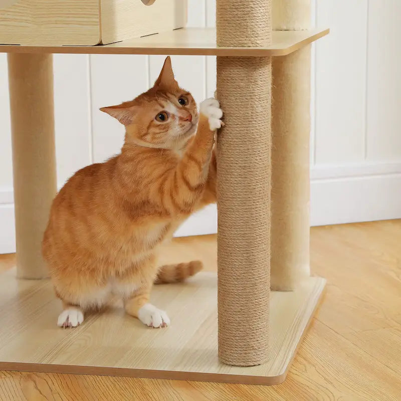 Arbre à chat intérieur bois – Hamac & perchoir - vue 5