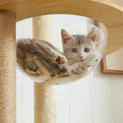Arbre à chat intérieur bois – Hamac & perchoir - vue 6