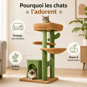 Arbre à chat cactus avec griffoir - Jeu & repos design - vue 2
