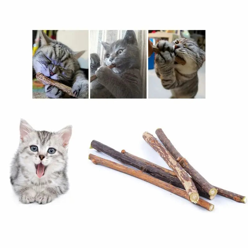 Bâton à mâcher chat - Nettoie & détend - vue 2