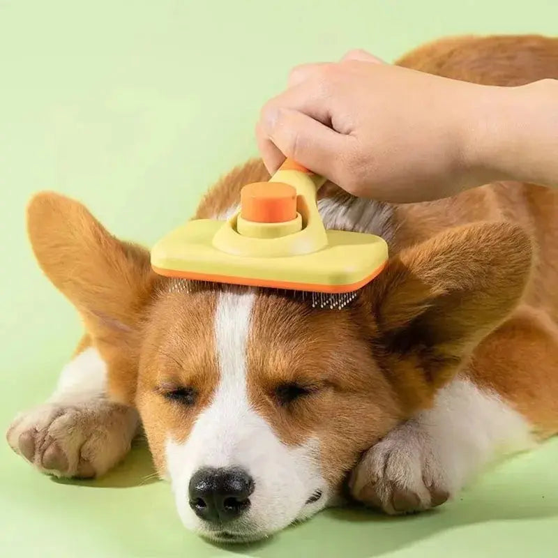 Brosse magique animaux - Poils enlevés sans effort - vue 4