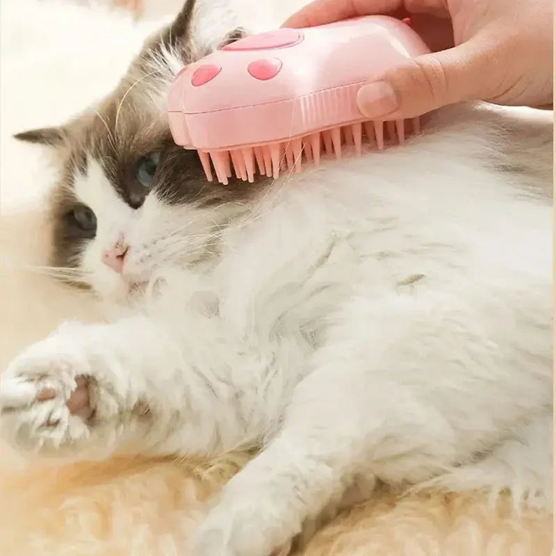 Brosse massage chat 