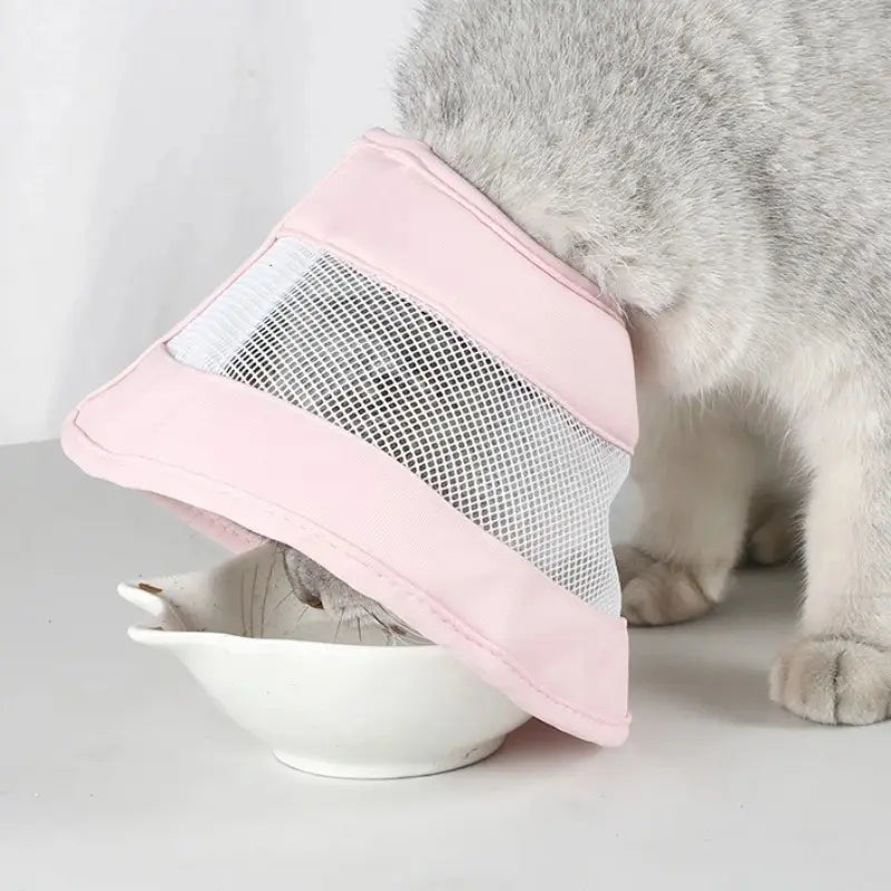 Collerette anti-rayures chat - Confort et Propreté - vue 3