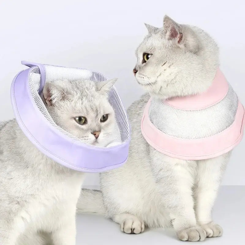 Collerette anti-rayures chat - Confort et Propreté - vue 4