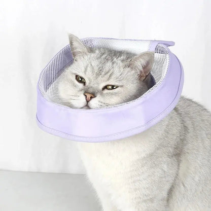 Collerette anti-rayures chat - Confort et Propreté - vue 5