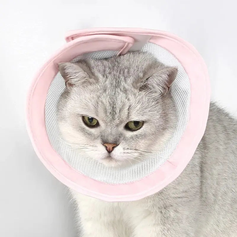 Collerette anti-rayures chat - Confort et Propreté - vue 6