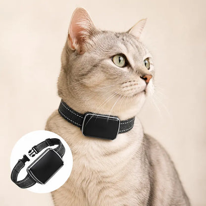 Collier GPS chat avec carte SIM