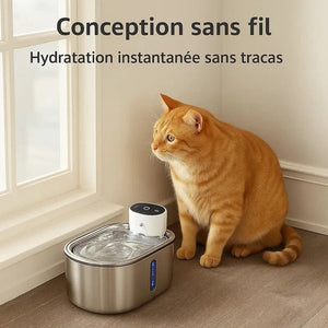 Fontaine chat sans fil à pile - Hydratation libre et durable - vue 3