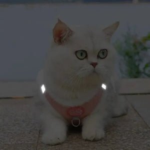 Harnais chat fourrure - Confort chaud - vue 4