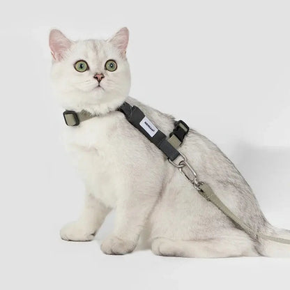 Harnais chat en H - Sécurité & confort - vue 2