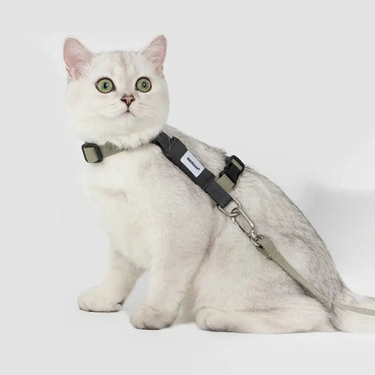 Harnais chat en H - Sécurité & confort - vue 2