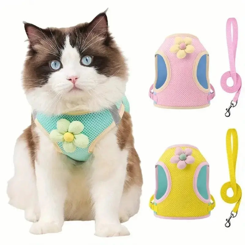 Harnais chat fleuri