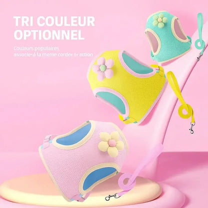 Harnais chat fleuri - Balade élégante - vue 5