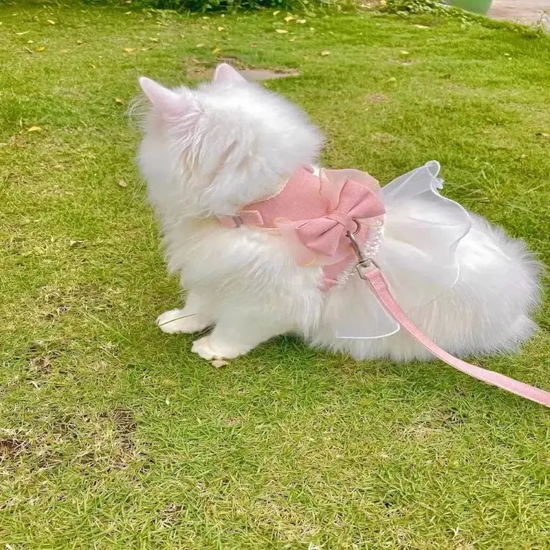 Harnais chat robe princesse - Confort royal - vue 3