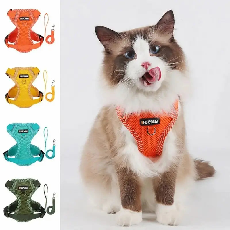 Harnais en nylon pour chat