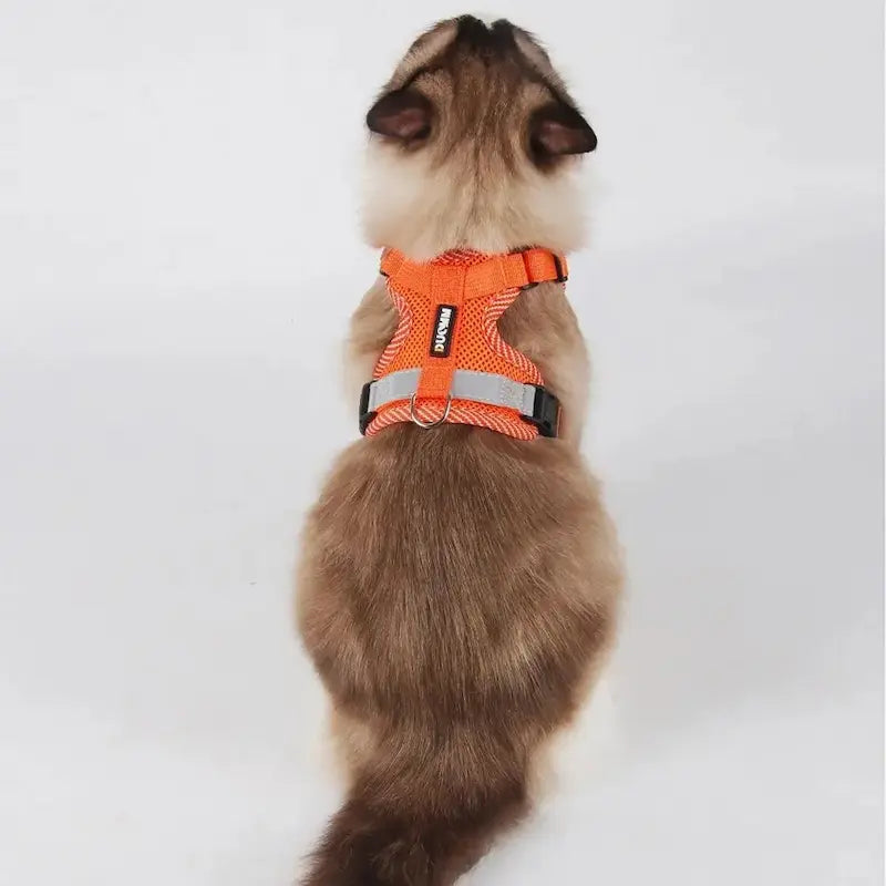 Harnais en nylon pour chat - Sécurité & confort - vue 3
