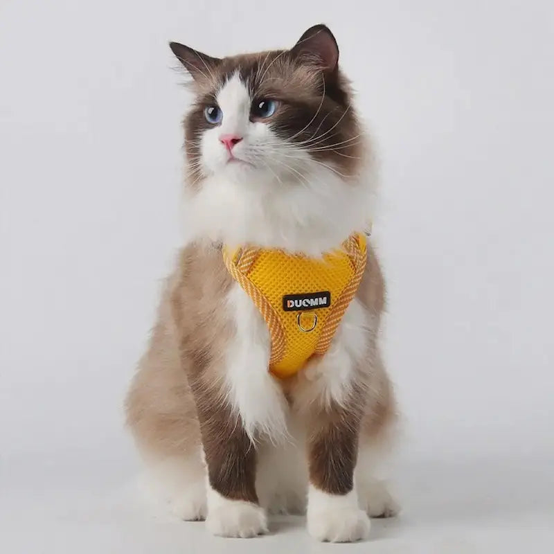 Harnais en nylon pour chat - Sécurité & confort - vue 4