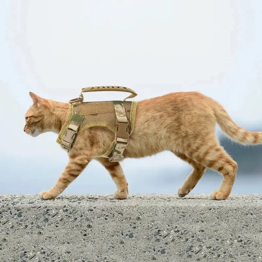 Harnais tactique chat