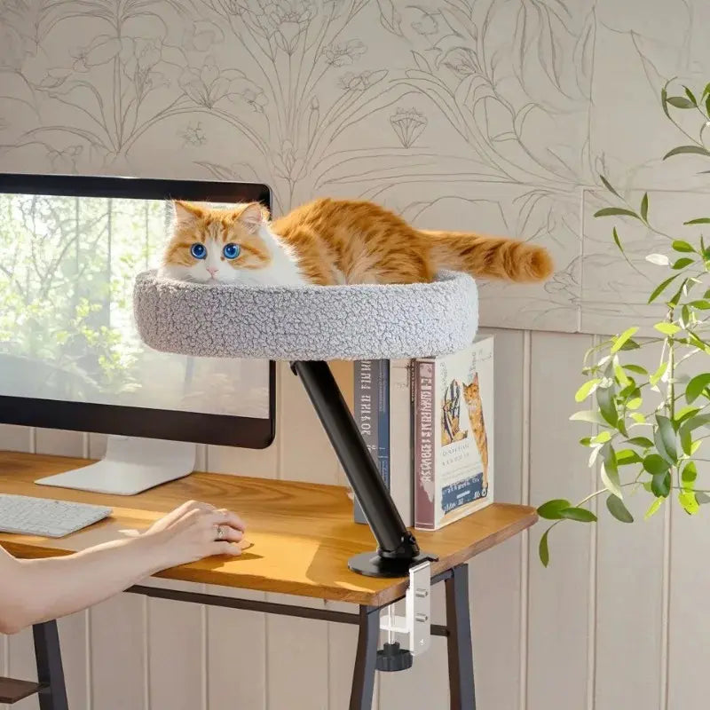 Lit chat bureau – Gain de place & confort - vue 2