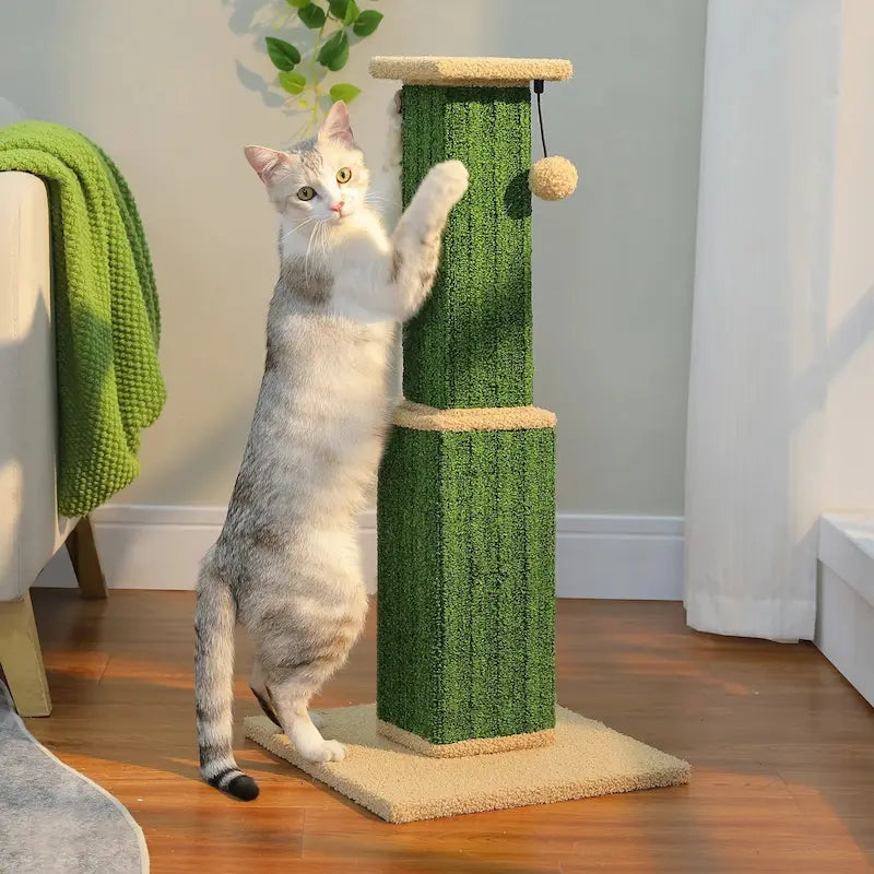 Grand poteau à gratter chat