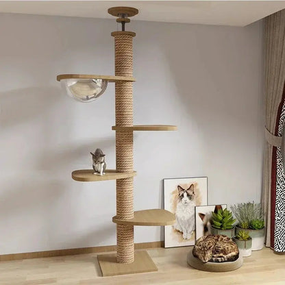 Arbre à chat XXL bois naturel – Stable & design - vue 5