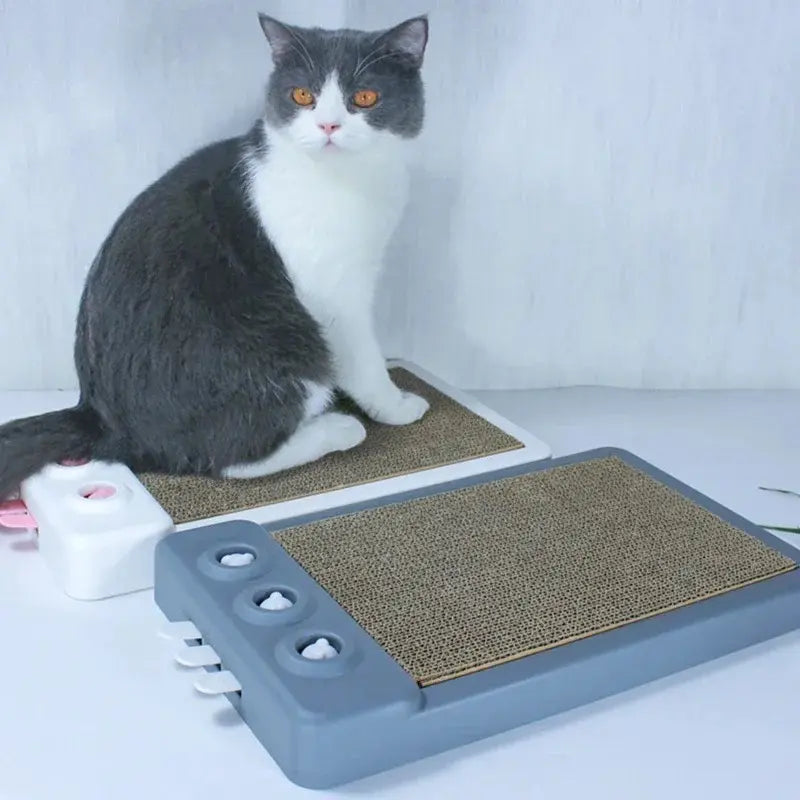 Planche à gratter chat - Protège meubles - vue 3