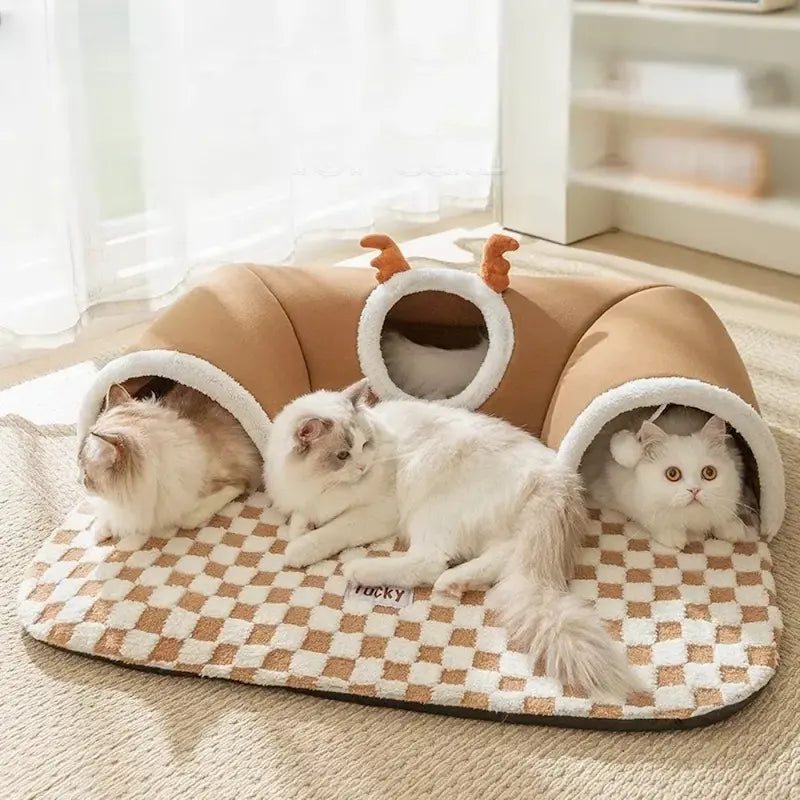 Tapis tunnel chat