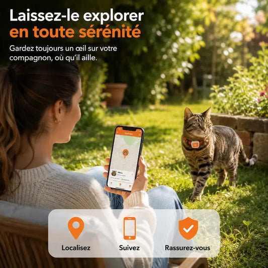 Traceur GPS carte SIM 4G - Suivi en temps réel - vue 2
