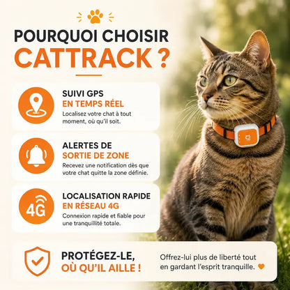 Traceur GPS carte SIM 4G - Suivi en temps réel - vue 3